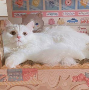 ​简短的给自己的励志经典句子112句