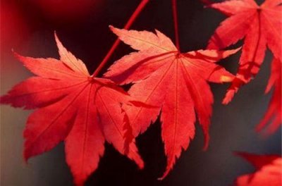 ​经典人生感悟好句子