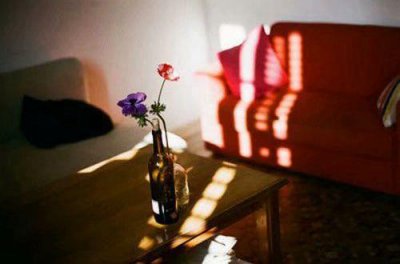 ​爱情的温暖的句子 走心的爱情句子(65句)