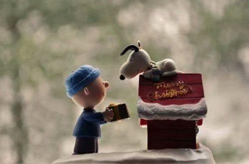 2025光棍节的悲伤句子