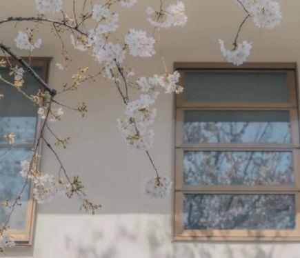 简短的春雨优美句子