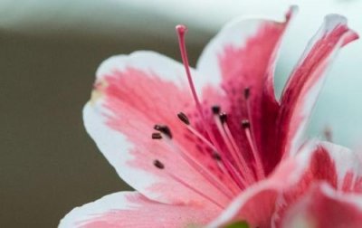 ​怎么描写冬天寒冷 描写冬天寒冷的句子(63句)