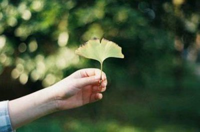 ​关于我的理想的句子稍短(192句)