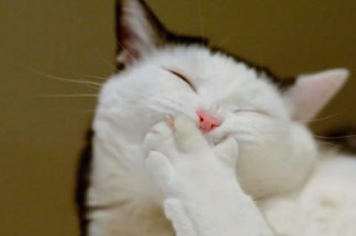 ​简单的有哲理的句子