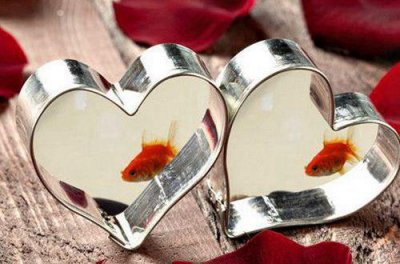 ​ins风格语录 ins句子温柔(精选74句)