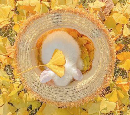 感慨人生的励志句子