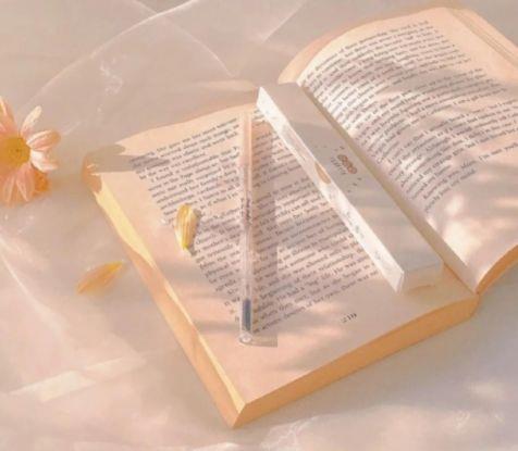 【热门】2025年正能量句子集锦98条