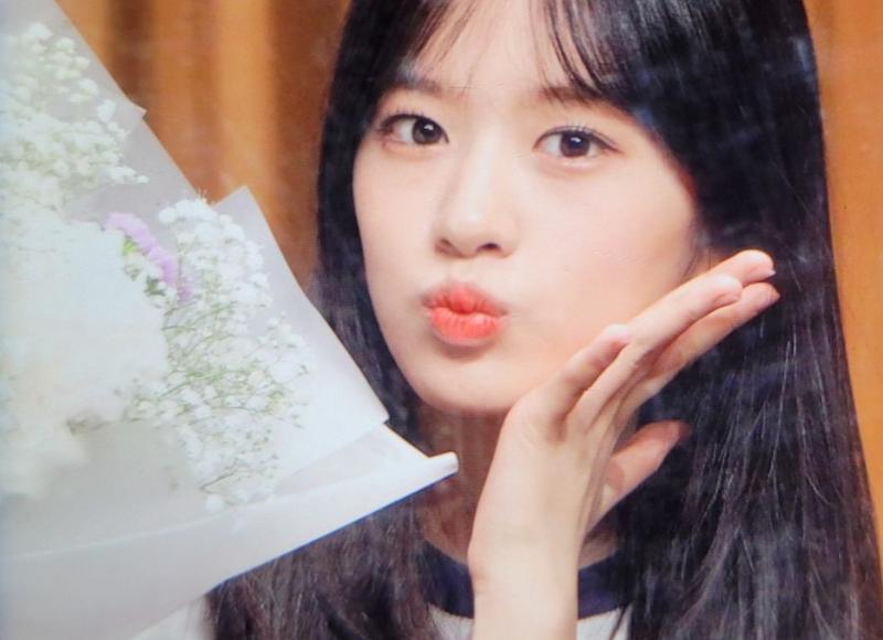 自己编茉莉花花语文案短句汇合76条 自己编茉莉花花语文案短句汇合76条