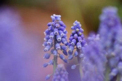 ​心术经典语录65句