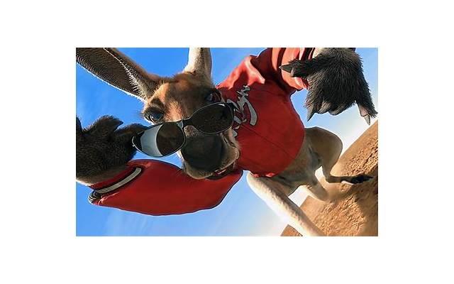 职场励志正能量小故事( 逆境中的崛起**) 职场励志正能量小故事( 逆境中的崛起**)