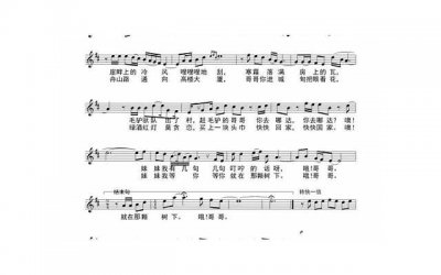 ​东北民谣毛不易（毛不易东北民谣的背景故事）