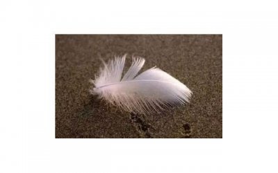 ​长安面包车，我和他的爱情故事，最后是怎样的结局？