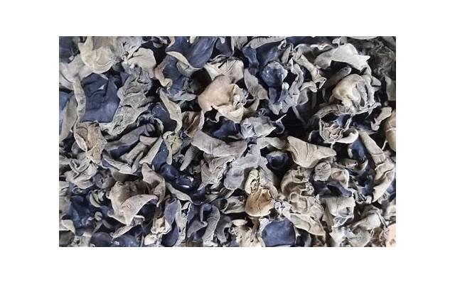 两性情感故事:那段偷情的经历 两性情感故事:那段偷情的经历