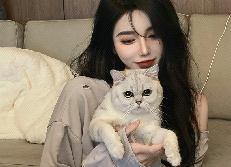 南斯拉夫的爱情故事,跨越国界的真爱如何终成眷属? 南斯拉夫的爱情故事,跨越国界的真爱如何终成眷属?