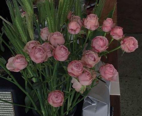 美食与幸福感的句子