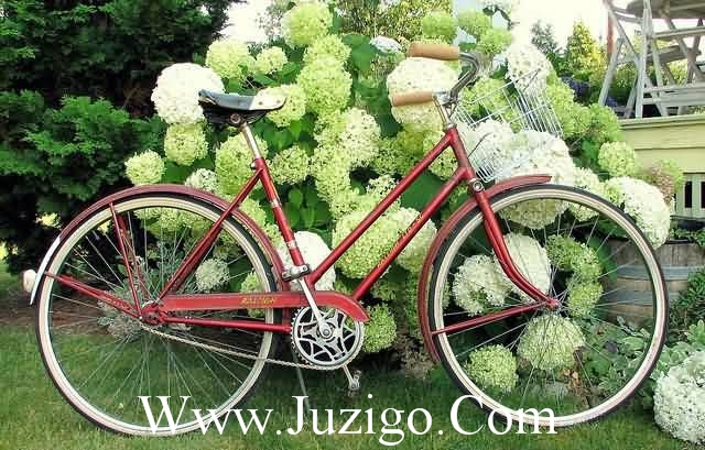 孤独的最高境界一句话(孤独最高境界的十句经典语录)