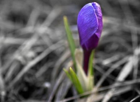 思念某人的网名