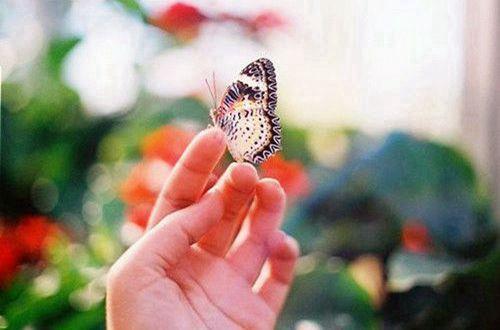 激发个人潜能的励志句子