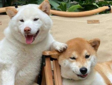 ​工作励志语录句子