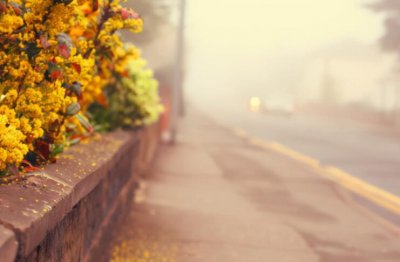 ​励志语录短句