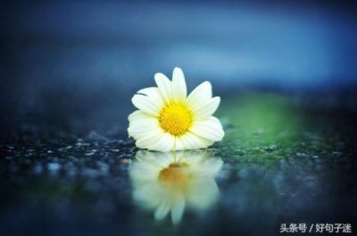 ​文艺范的句子短句（20条文艺范的唯美短句，很有意境，留着做个性签名！）