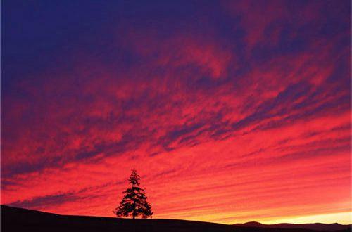 生意励志微语录