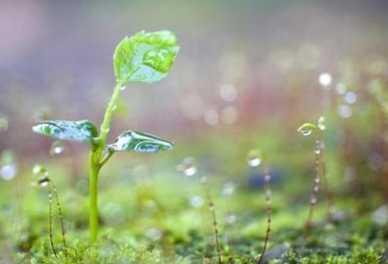 鼓励打卡的句子