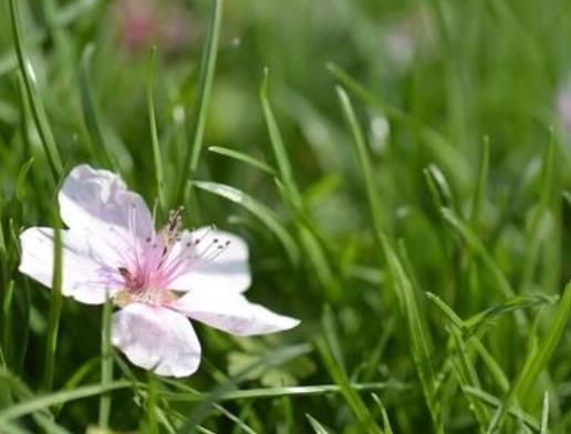 鼓励打卡的句子