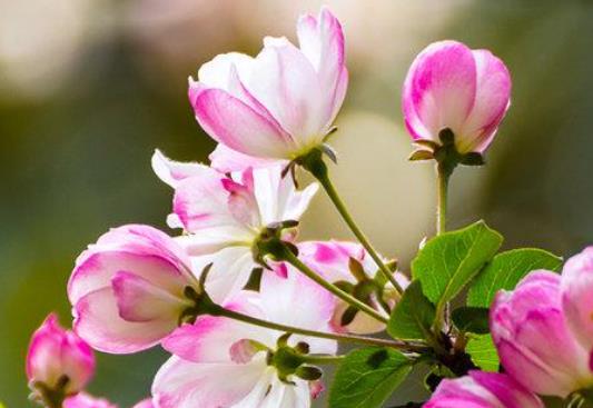 鼓励打卡的句子