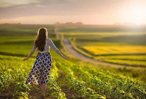 1706600450219806.png image.png