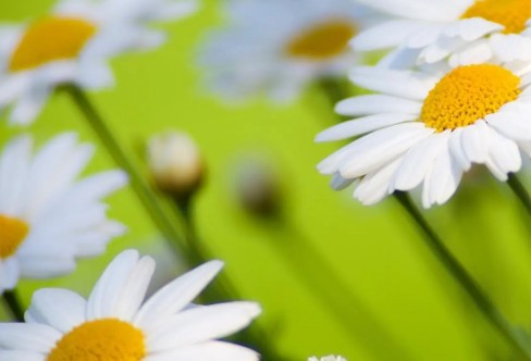 1710332060108491.png image.png