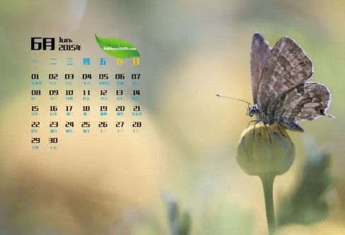 1710333059114098.png image.png