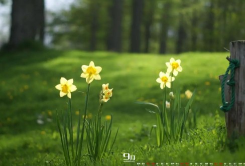 1710332726140115.png image.png