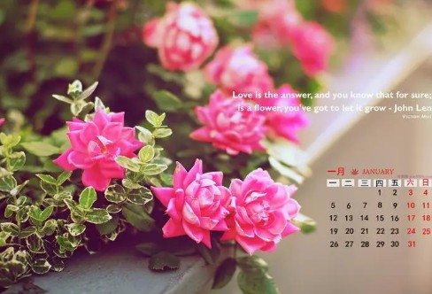 1710333393107820.png image.png