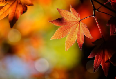 ​府吏见丁宁精选131句