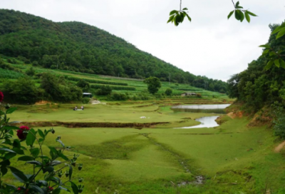 ​感谢同事的话语16句