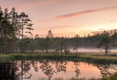 ​高中热化学方程式大全