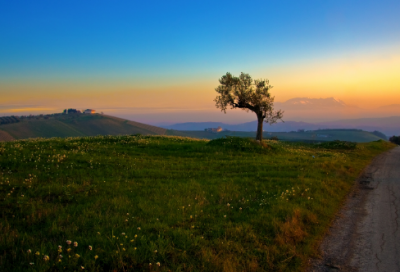 ​个人奖励主要事迹范文