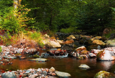 ​给领导发的短信