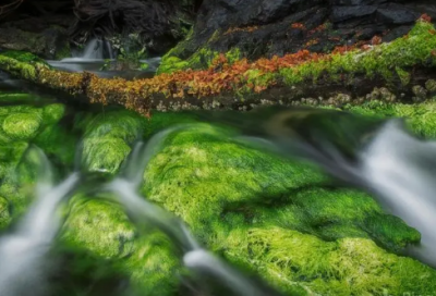 ​公司股东会决议书范本