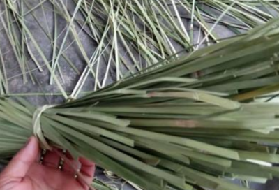 ​关于《三顾茅庐》的教学设计