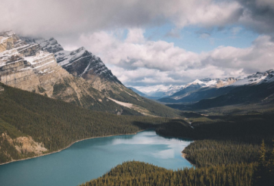 ​关于合作的小故事