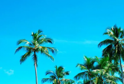 ​关于计谋的故事