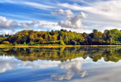 ​关于母爱的贺卡内容