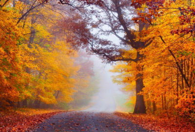 ​关于写在新婚红包上的祝福语