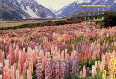 ​关于赞美老师的文章