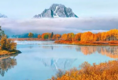 ​观猎阅读*_观猎翻译赏析_作者李白