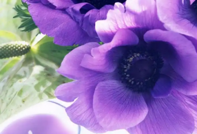 ​国庆手抄报文字清楚