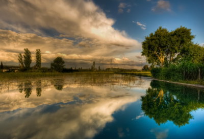 ​鸡年大吉祝福语