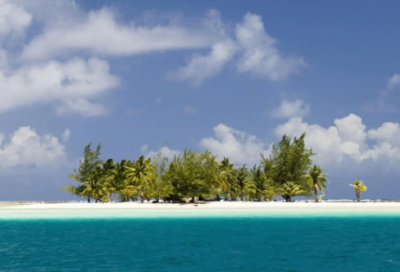 ​技术员岗位职责范文五篇